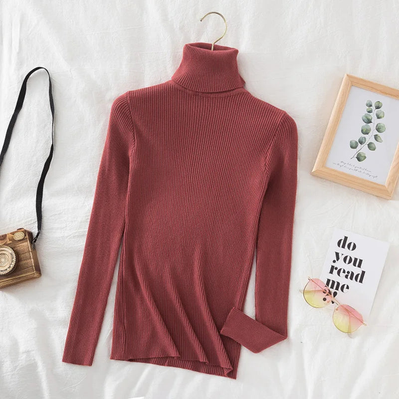 Chloe long sleeve jumper with turtle neck